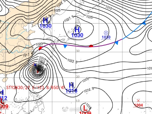 台风蔷琵突然大拐弯,已长出"头发"！上海暴雨大风预警,将出现短时强降水！大桥高速限速，列车部分停运️