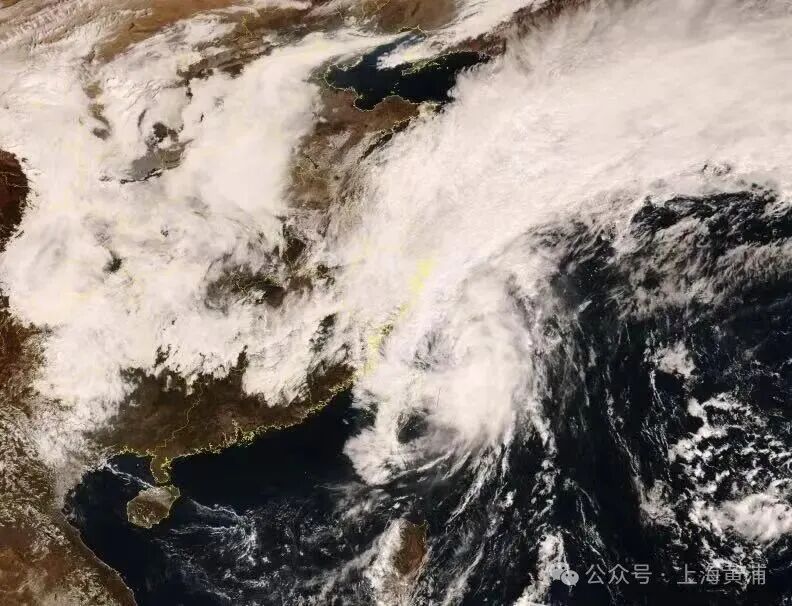 台风走了个"闪身步"…现在雨不大是不是影响结束了？上海市气象台：局部仍有大到暴雨