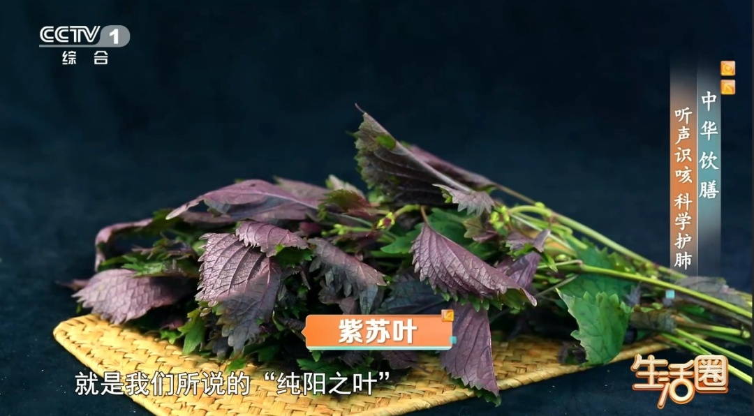 别再盲目煮梨水了！你煮的梨水是在润肺，还是在帮倒忙？看完心里有数