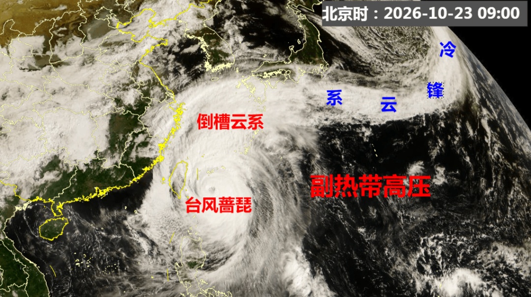 台风蔷琵突然大拐弯,已长出"头发"！上海暴雨大风预警,将出现短时强降水！大桥高速限速，列车部分停运️