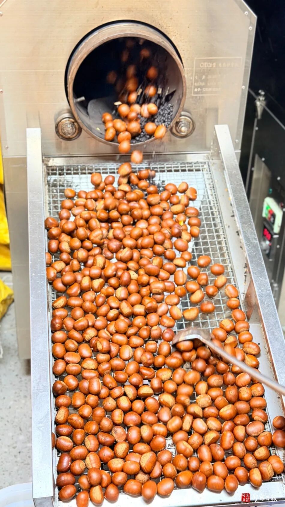 这几类食物不要一起吃！