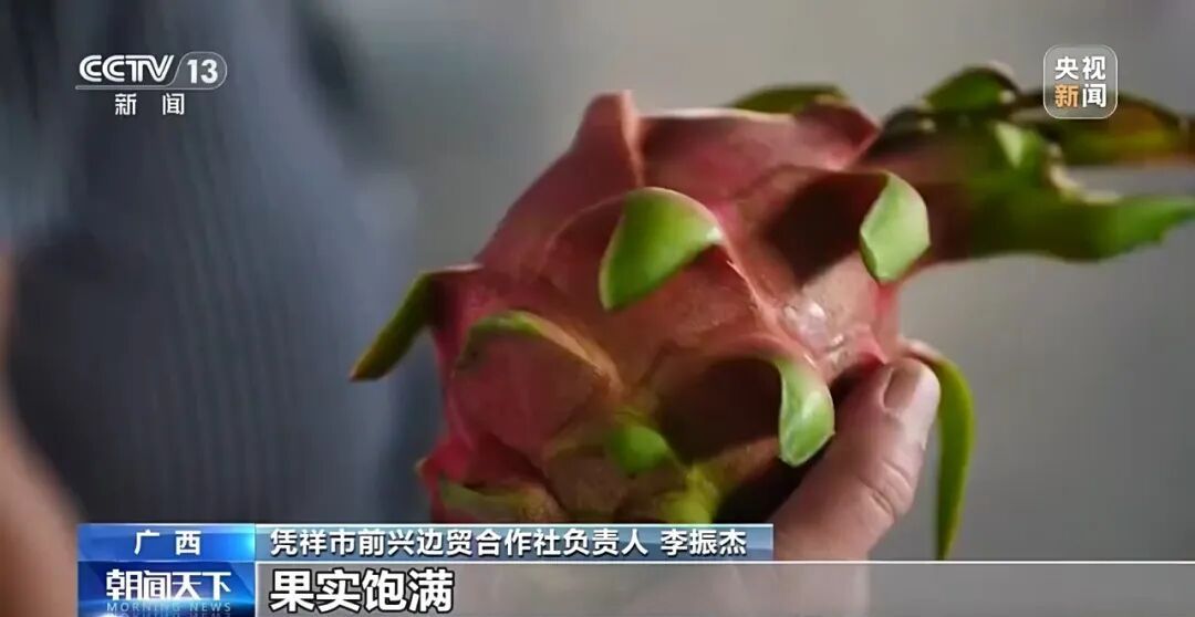 平陆运河累计过货量已突破100万吨 平陆运河累计过货量已突破100万吨