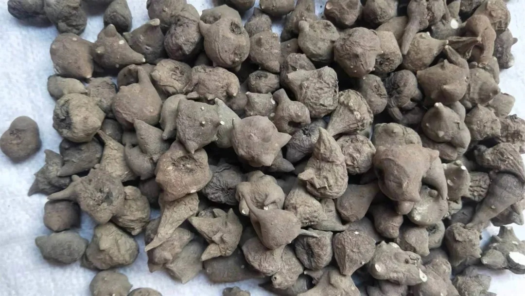 3毫克就能致死!云南发布预警通告 3毫克就能致死!云南发布预警通告