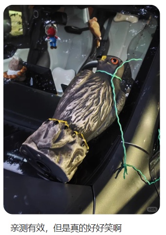 自家车经常被鸟拉屎,一男子莫名确诊肺炎,医院:已有数例此类患者;重庆也有人曾中招 自家车经常被鸟拉屎,一男子莫名确诊肺炎,医院:已有数例此类患者;重庆也有人曾中招