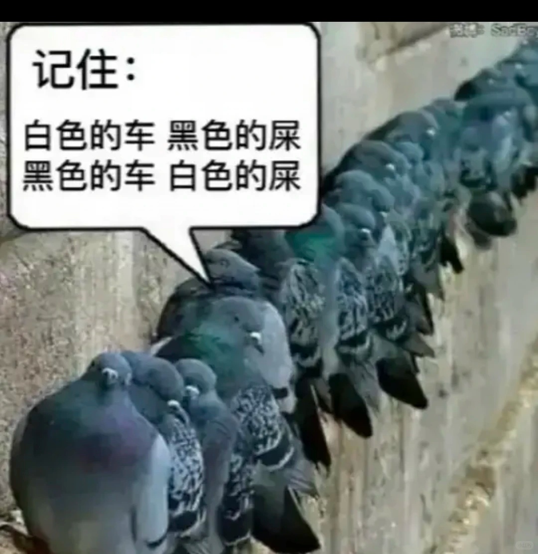 自家车经常被鸟拉屎,一男子莫名确诊肺炎,医院:已有数例此类患者;重庆也有人曾中招 自家车经常被鸟拉屎,一男子莫名确诊肺炎,医院:已有数例此类患者;重庆也有人曾中招