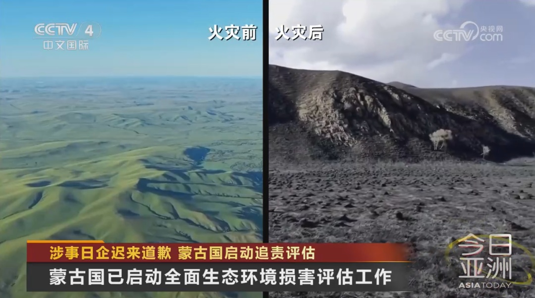 涉事日企迟来道歉 蒙古国启动追责评估 涉事日企迟来道歉 蒙古国启动追责评估