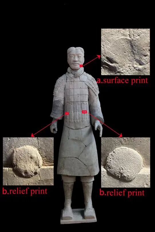秦始皇兵马俑上发现女性和少年指纹!冲上热搜第一 秦始皇兵马俑上发现女性和少年指纹!冲上热搜第一