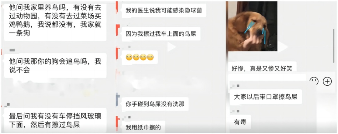 自家车经常被鸟拉屎,一男子确诊肺炎,医生提醒 自家车经常被鸟拉屎,一男子确诊肺炎,医生提醒