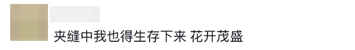 “攀上10米路灯,开出最美丽的花!” “攀上10米路灯,开出最美丽的花!”