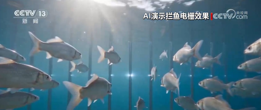 “智慧”水利建设重塑山川、再造江河 为服务民生与经济发展夯实“硬支撑” “智慧”水利建设重塑山川、再造江河 为服务民生与经济发展夯实“硬支撑”