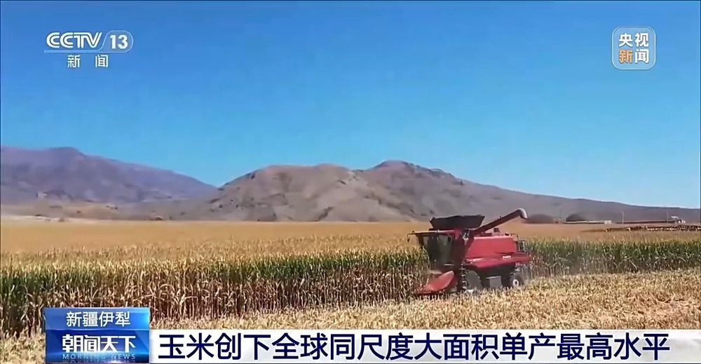 亩产1211.14公斤！我国玉米种植迎新突破