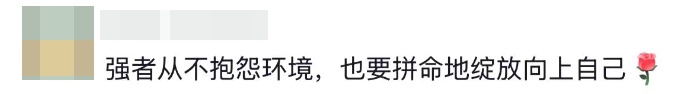 “攀上10米路灯,开出最美丽的花!” “攀上10米路灯,开出最美丽的花!”