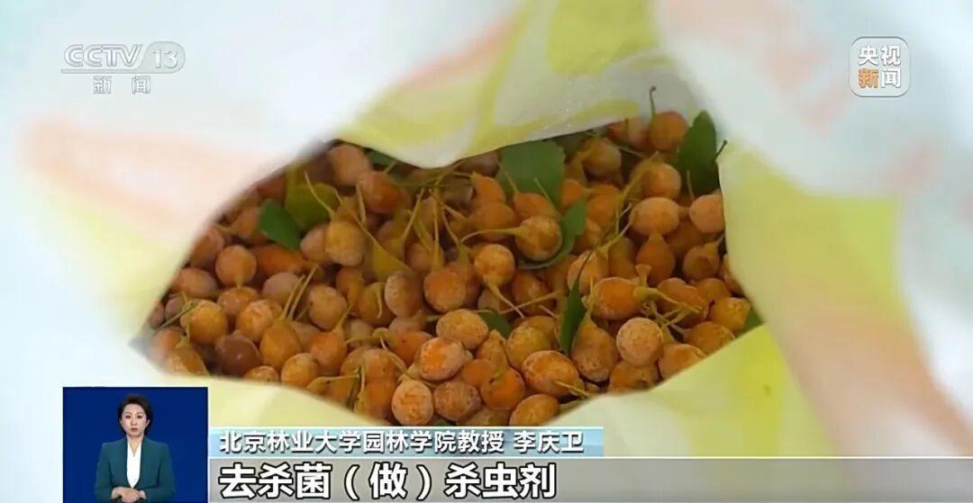 冲上热搜!《知否》里银杏果有毒不是瞎编的,加热了再吃也可能中毒,千万别超这个量→ 冲上热搜!《知否》里银杏果有毒不是瞎编的,加热了再吃也可能中毒,千万别超这个量→