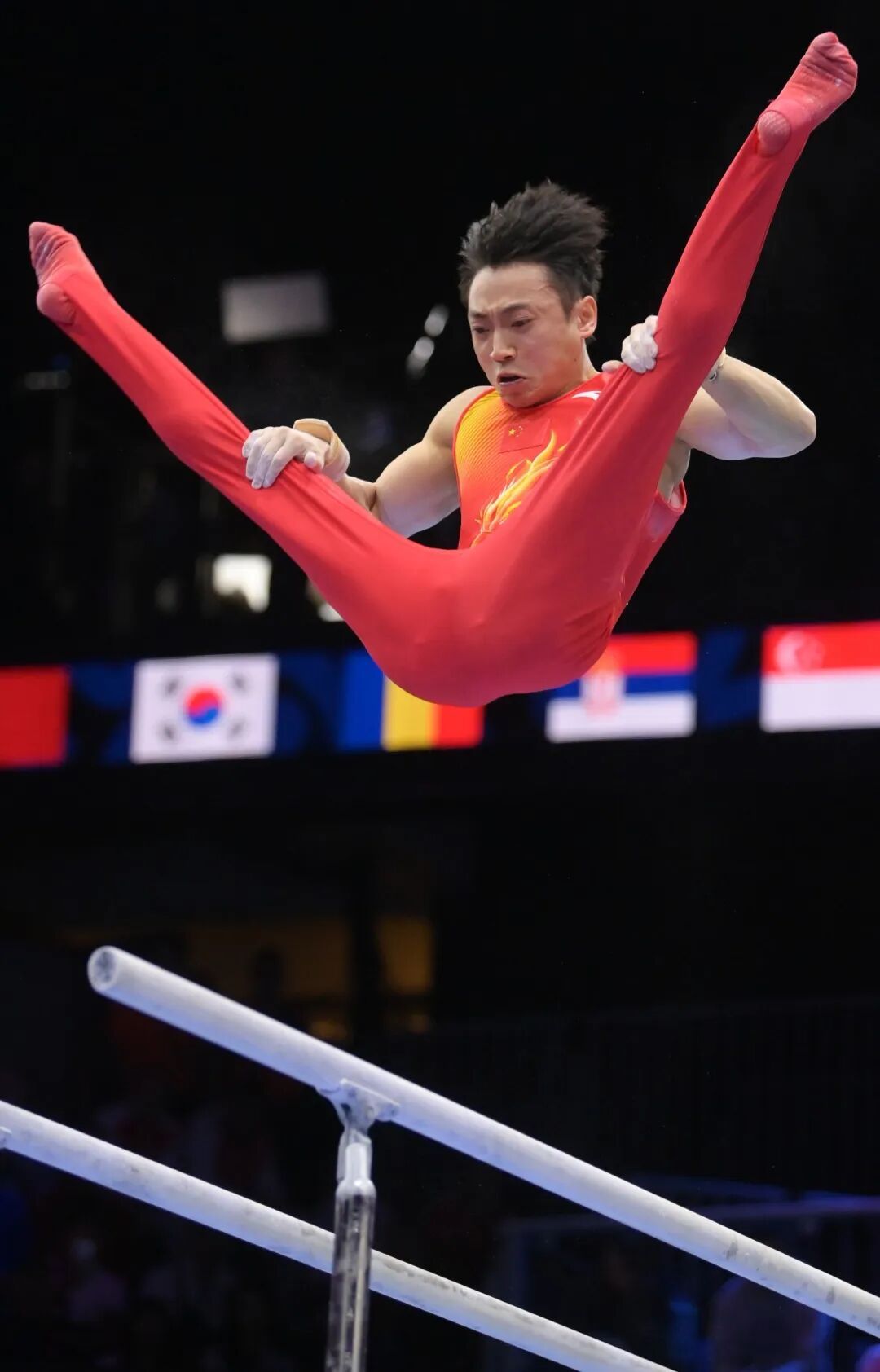 邹敬园，五冠王！