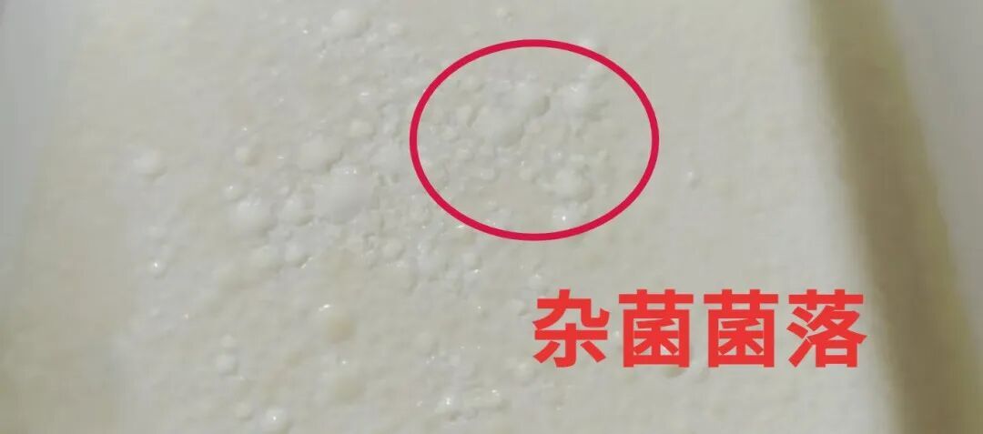 酸奶坑坑洼洼是变质?这种酸奶更危险,多吃一口,就可能离肠癌更近一点 酸奶坑坑洼洼是变质?这种酸奶更危险,多吃一口,就可能离肠癌更近一点