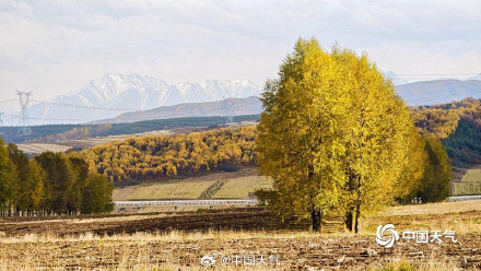 西宁雪山下的金色层林