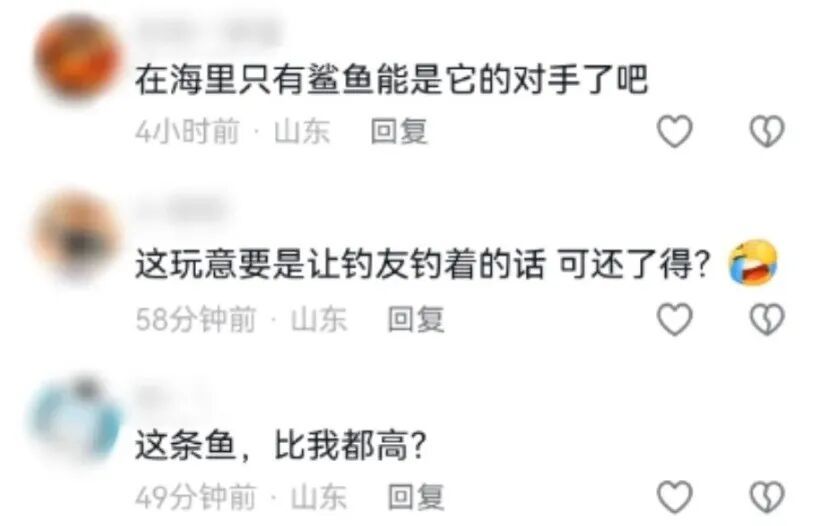 2.46米，268斤！山东大哥捕获“鲅鱼王”！网友调侃：能征服山东老丈人