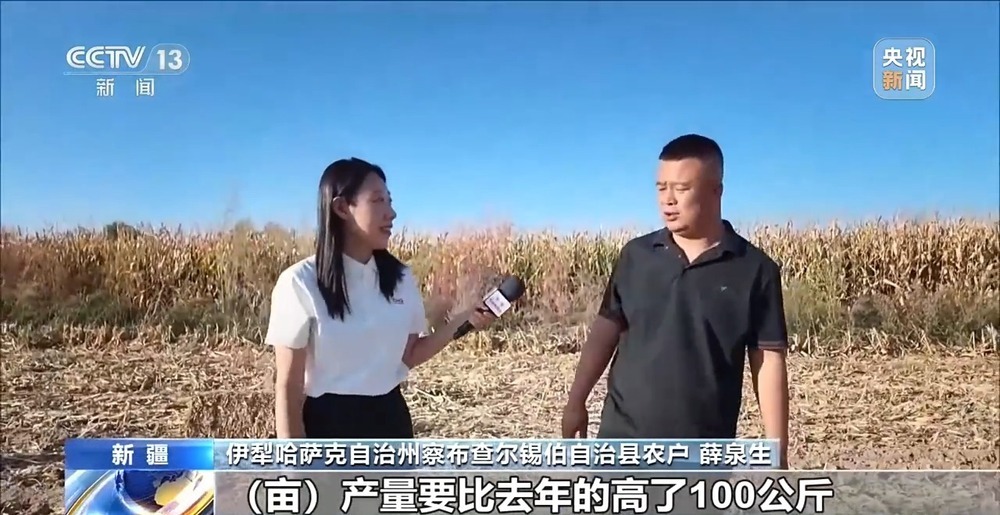 亩产1211.14公斤！我国玉米种植迎新突破