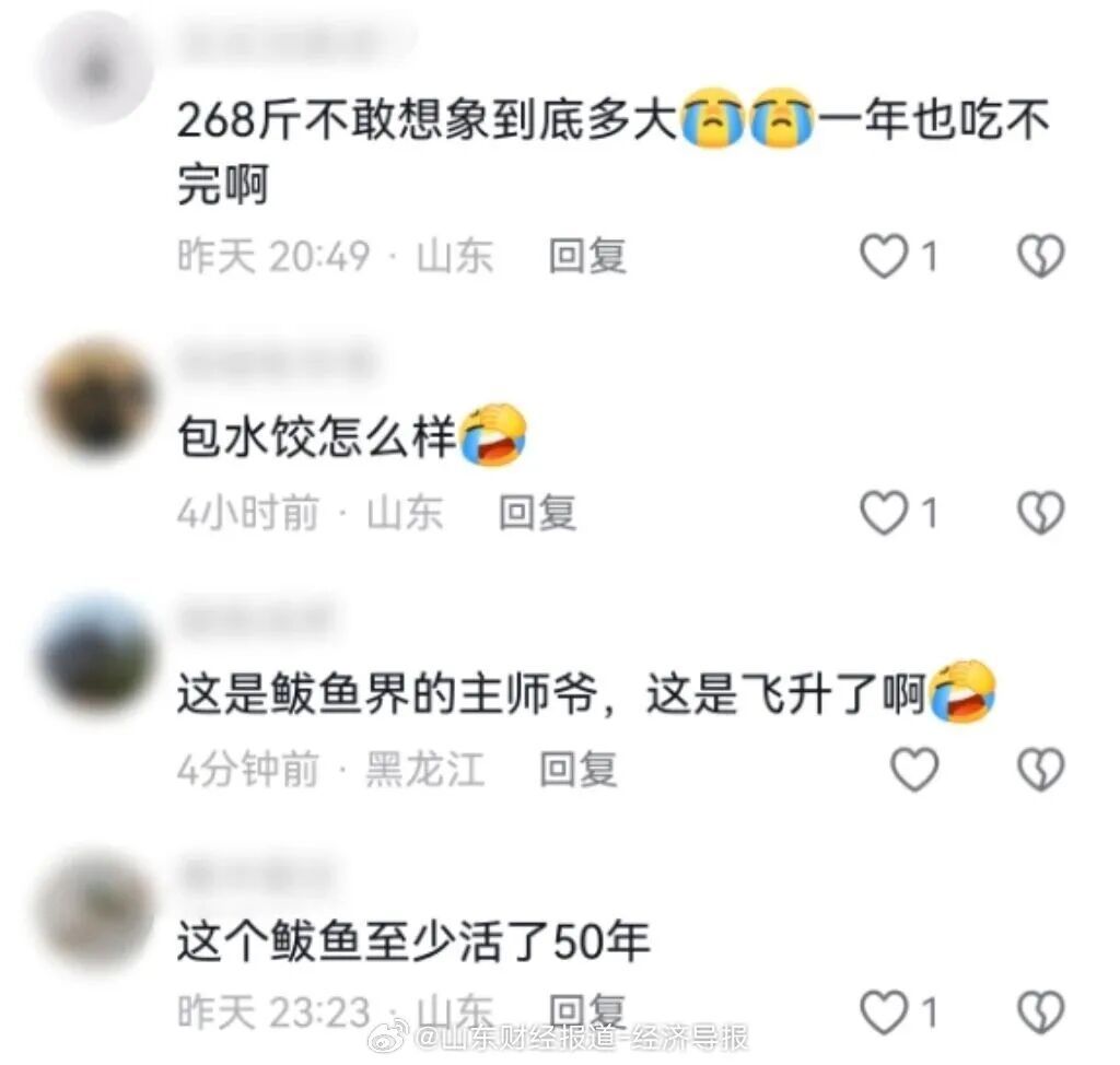 罕见 | 268斤“鲅鱼王”!体长2.46米!网友:这得包多少盘水饺? 罕见 | 268斤“鲅鱼王”!体长2.46米!网友:这得包多少盘水饺?