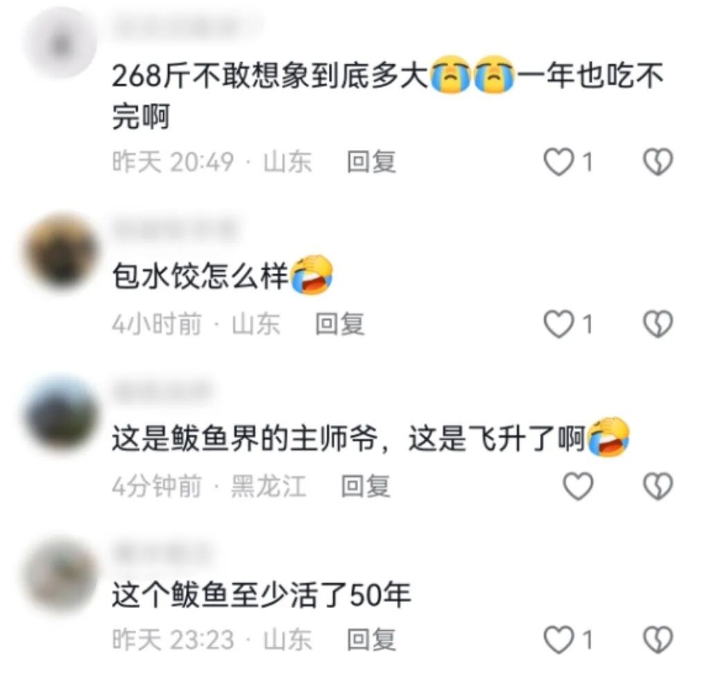 征服全山东老丈人,日照捕获2.46米鲅鱼王!渔民称至少生长十年之久 征服全山东老丈人,日照捕获2.46米鲅鱼王!渔民称至少生长十年之久
