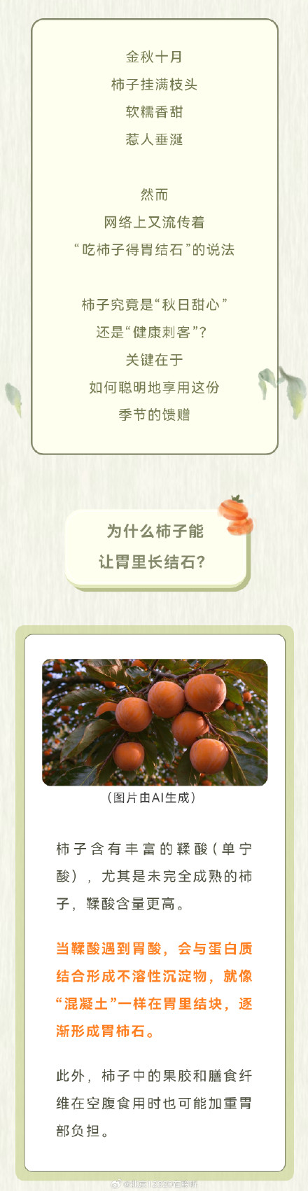秋柿甜如蜜,吃对才如意 秋柿甜如蜜,吃对才如意