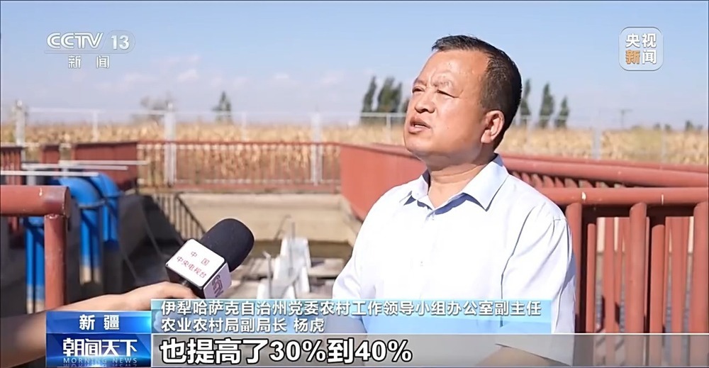 亩产1211.14公斤！我国玉米种植迎新突破
