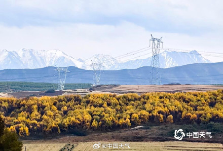 西宁雪山下的金色层林