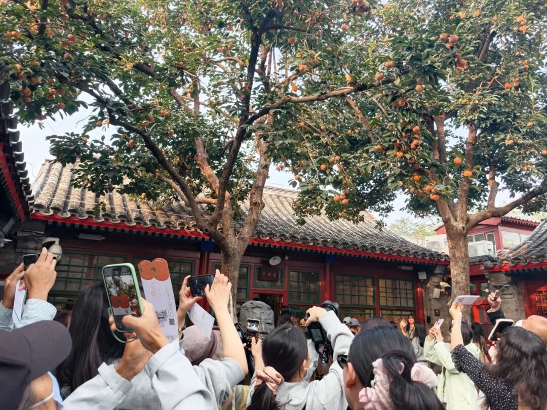 从4万到17万,十年参观人数涨3倍多,被“挤爆”的老舍故居有何魅力? 从4万到17万,十年参观人数涨3倍多,被“挤爆”的老舍故居有何魅力?
