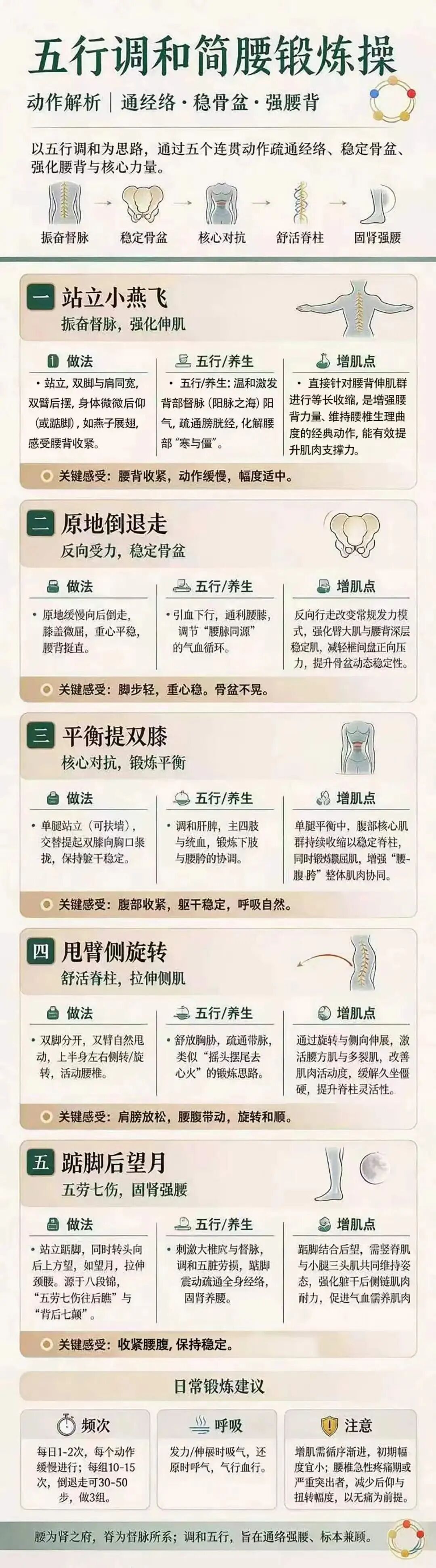 吃动两相宜，这套中医锻炼操帮您强筋增肌护脊柱