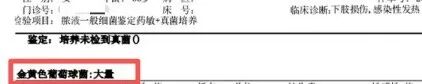 女子骑行擦伤后高烧不退，险些全身感染！医生提醒：伤口面积小，不代表没风险！