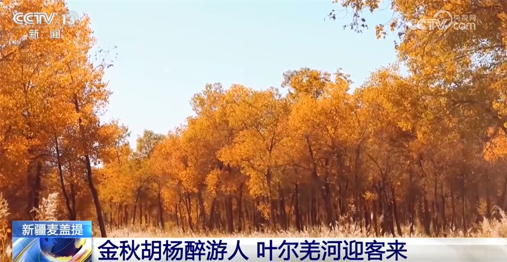 金秋十月秋色如画勾勒出秋日盛景图 “生态美”带动“产业兴”实现“百姓富” 金秋十月秋色如画勾勒出秋日盛景图 “生态美”带动“产业兴”实现“百姓富”