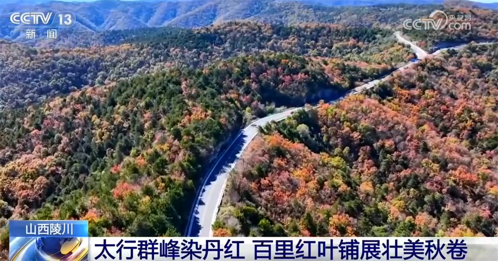 金秋十月秋色如画勾勒出秋日盛景图 “生态美”带动“产业兴”实现“百姓富” 金秋十月秋色如画勾勒出秋日盛景图 “生态美”带动“产业兴”实现“百姓富”
