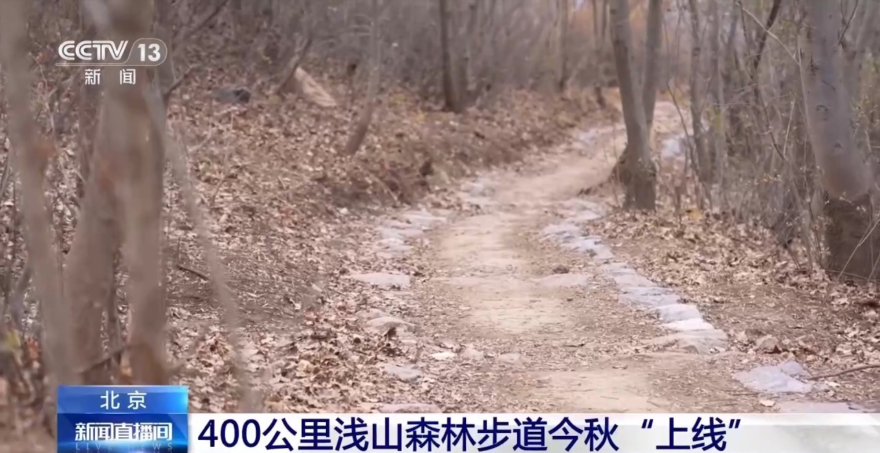 落叶缓扫留住秋韵 北京推出这些赏秋点位