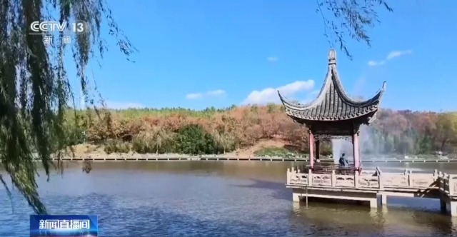落叶缓扫留住秋韵 北京推出这些赏秋点位