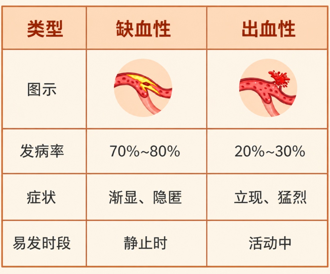 科学喝水防卒中！关键这两个时间点→