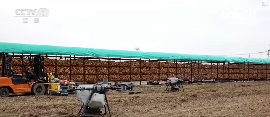 科技赋能铺就富民新赛道 多样化特色农产品“钱”景广阔