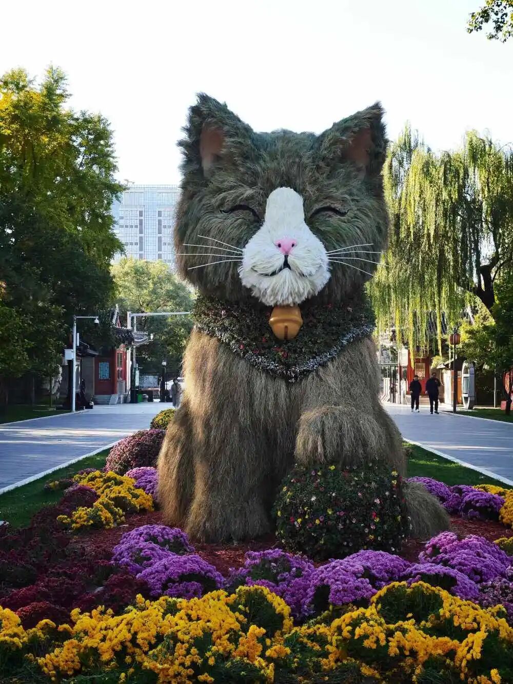 公园里的“小猫”,火了! 公园里的“小猫”,火了!
