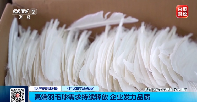已连涨3年,终于集体大降价! 已连涨3年,终于集体大降价!