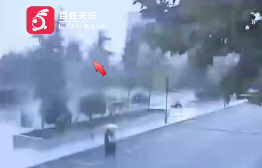 一声巨响,西安一高校内银杏树被雷劈裂,两名行人及时避险 一声巨响,西安一高校内银杏树被雷劈裂,两名行人及时避险