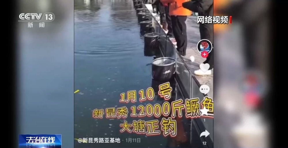 钓中“标鱼”最高奖金3500元 是娱乐还是赌博？