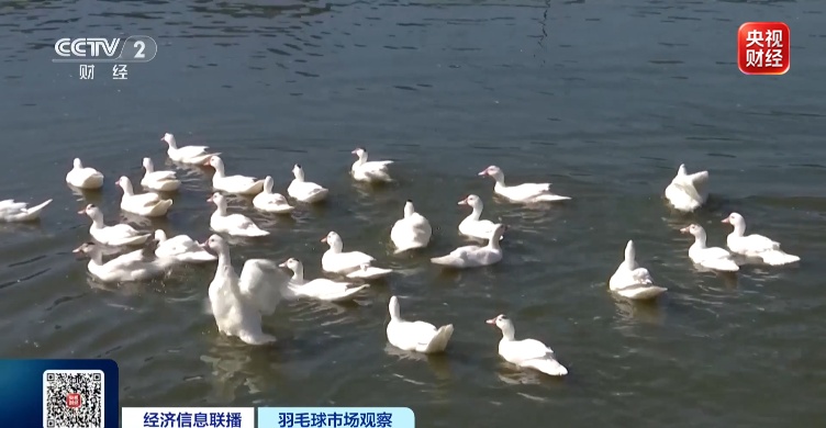 已连涨3年,终于集体大降价!网友:我的快乐回来了 已连涨3年,终于集体大降价!网友:我的快乐回来了