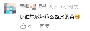 云南一家餐馆的冰柜受关注！网友点赞：极度舒适