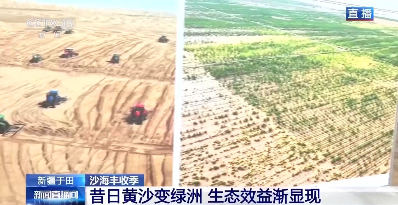锁边“合龙”不是终点 塔克拉玛干沙漠边缘还在不断变绿