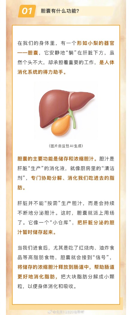 不吃早饭容易得胆结石、早饭只吃鸡蛋会得胆囊炎......这些说法是真的吗？