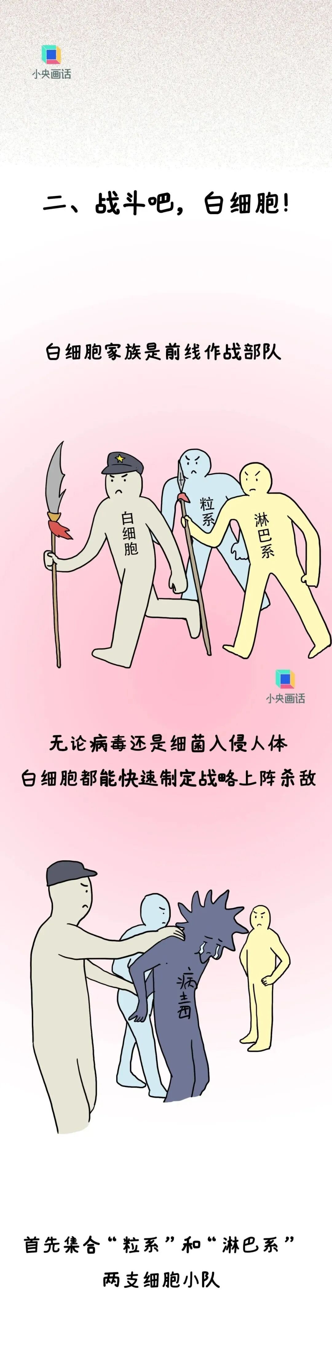 血常规报告上有箭头就是健康亮红灯?别自己吓自己啦! 血常规报告上有箭头就是健康亮红灯?别自己吓自己啦!