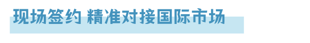 合作共赢绘就绚烂篇章： “中国（北京）联合展台”沙漠明珠之行交出亮眼成绩单