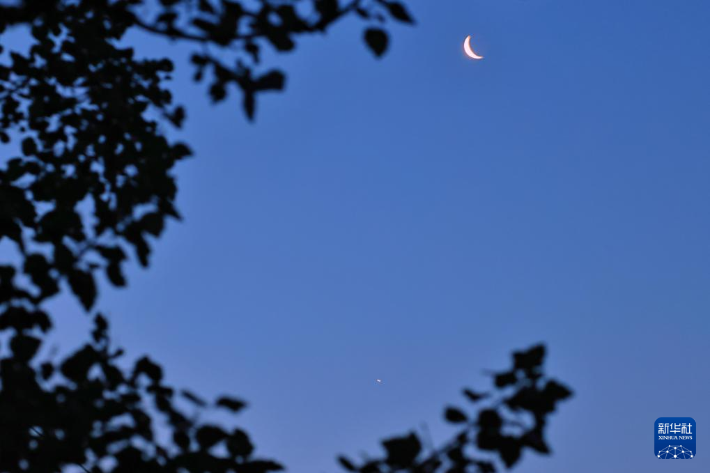 星空相册丨天宇凌晨上演金星伴月