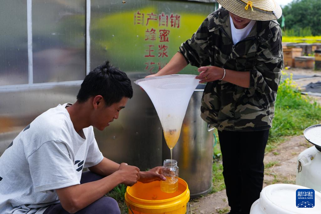 图片故事丨追花人家 甜在田间
