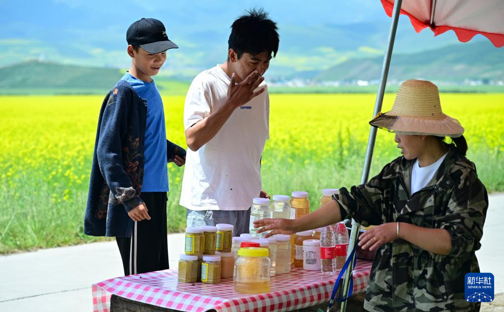 图片故事丨追花人家 甜在田间
