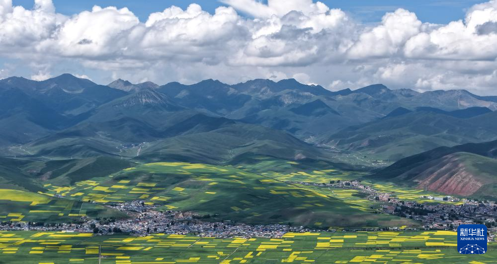 图片故事丨追花人家 甜在田间